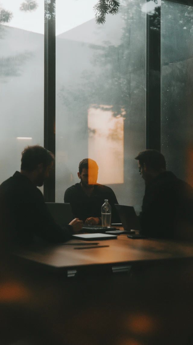 Professional and advisory firms